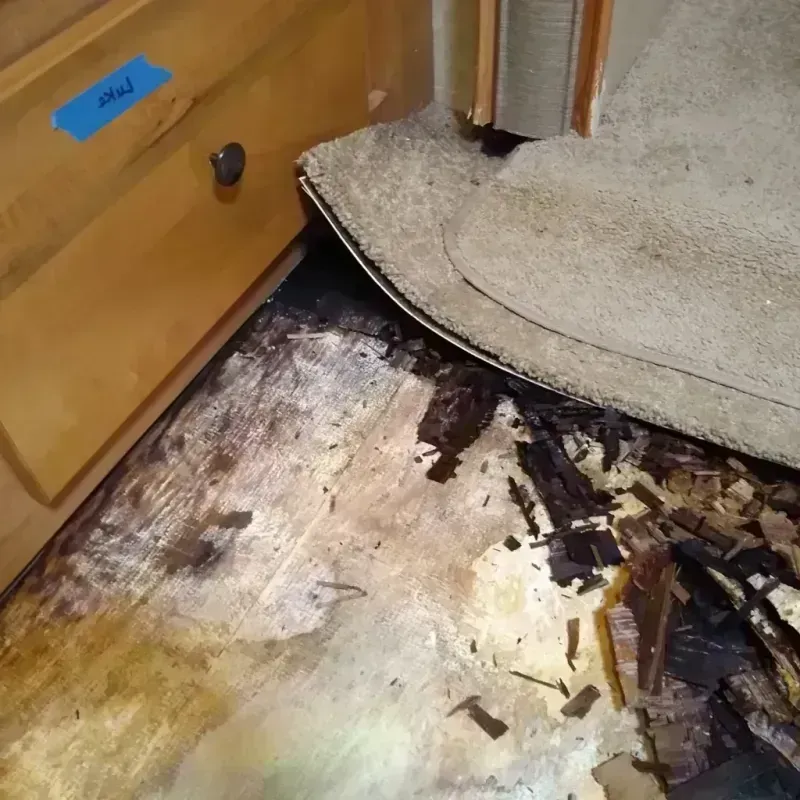 Best Wood Floor Water Damage Service in Henry County, GA